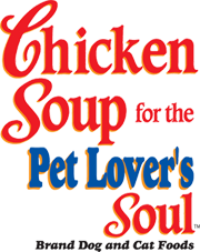 ChickenSoup.png