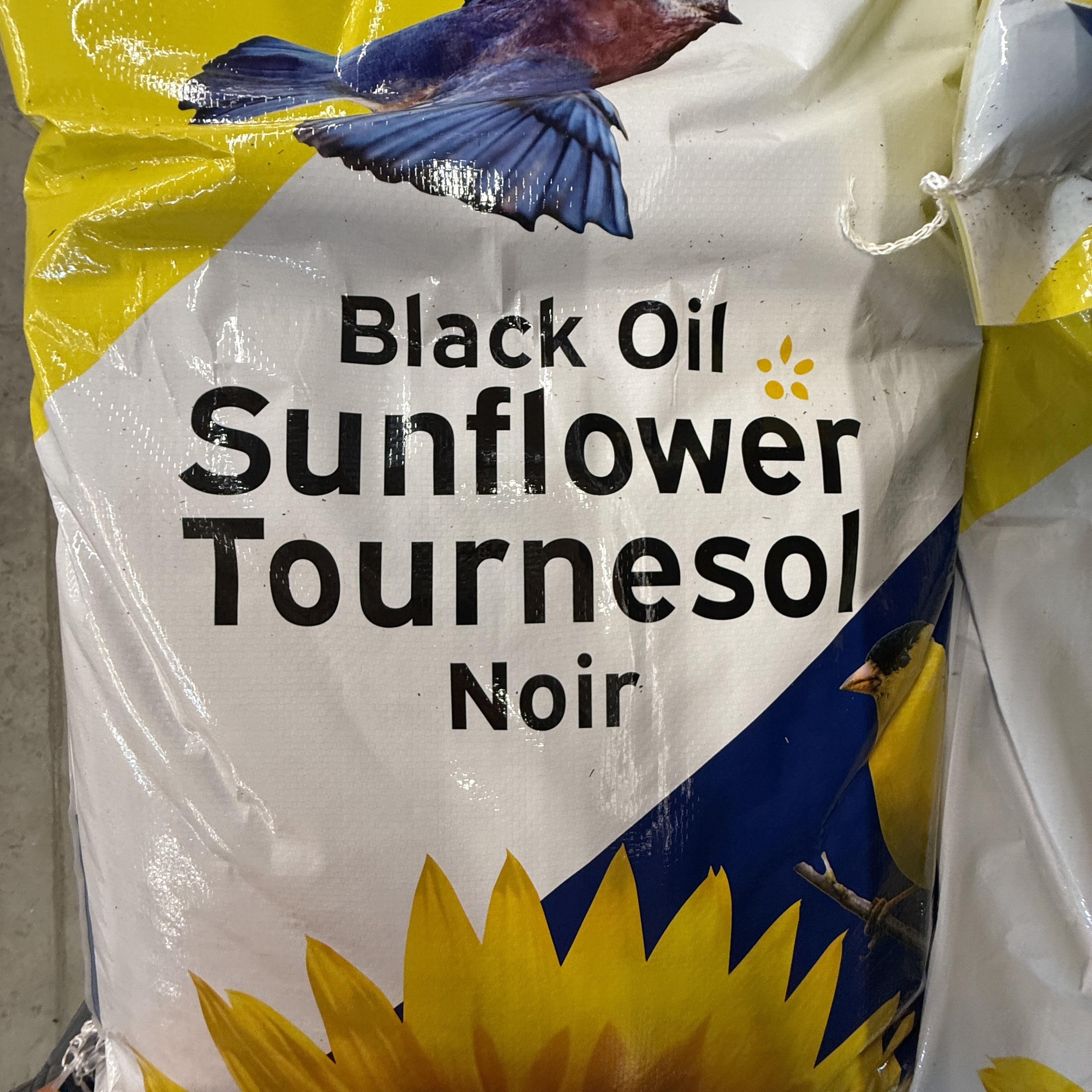 25lb Bag of Black Oil Sunflower