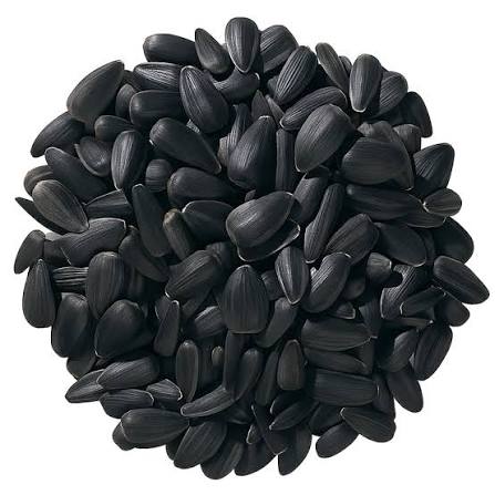 25lb Bag of Black Oil Sunflower