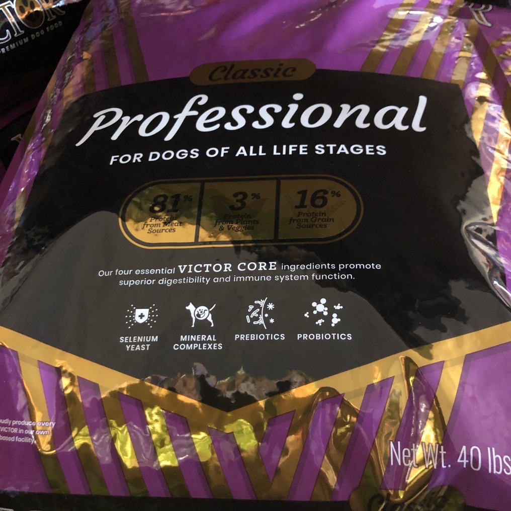 Victor Professional Large bag (purple)