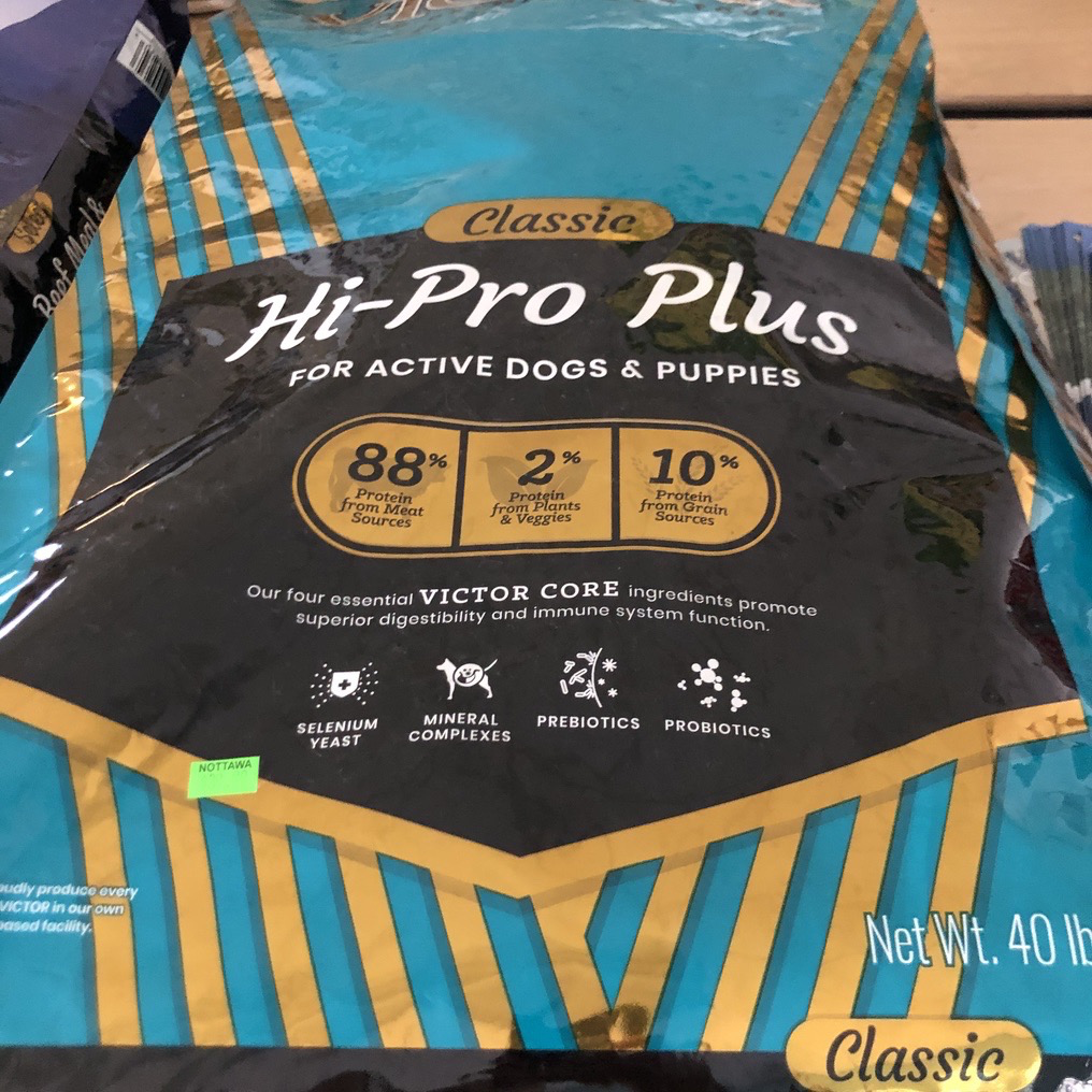 Victor High Pro Plus Active Dog & Puppy Large bag (teal)