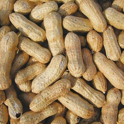 50 LB Whole in-shell Peanuts Raw